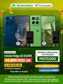 Catálogo Jumbo Página 3