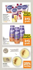 Albert Heijn folder week 17 Pagina 13