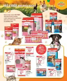 Globus leták Strana 3