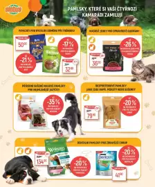 Globus leták Strana 4