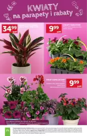 Stokrotka Market gazetka tydzień 16 Strona 24