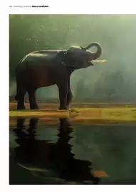 Folheto Abreu Página 164