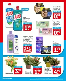 Hoogvliet folder week 17 Pagina 26