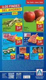 Folleto ALDI semana 17 Página 24