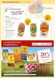 Martin Reformstark Flugblatt Seite 18