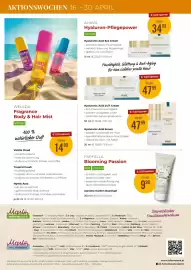 Martin Reformstark Flugblatt Seite 8