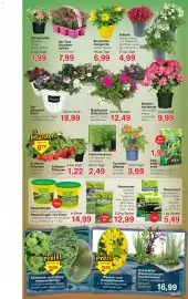 Jawoll Prospekt woche 17 Seite 11