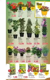 Jawoll Prospekt woche 17 Seite 6