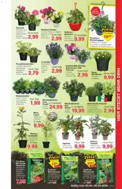 Jawoll Prospekt woche 17 Seite 7