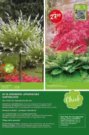 Blumen Risse Prospekt Seite 13