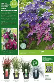 Blumen Risse Prospekt Seite 8