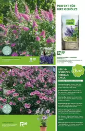 Blumen Risse Prospekt Seite 9