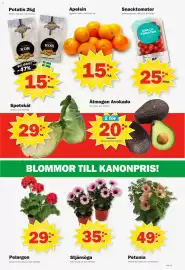 Pekås reklamblad vecka 17 Sida 7