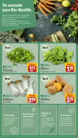 REWE Prospekt woche 17 Seite 11