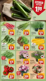 REWE Prospekt woche 17 Seite 5