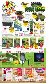 Wiglo Wunderland Prospekt woche 17 Seite 1