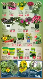 Wiglo Wunderland Prospekt woche 17 Seite 11