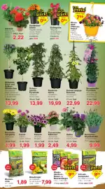 Wiglo Wunderland Prospekt woche 17 Seite 6