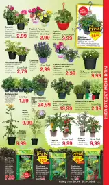 Wiglo Wunderland Prospekt woche 17 Seite 7