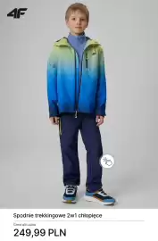 4F gazetka tydzień 16 Strona 11