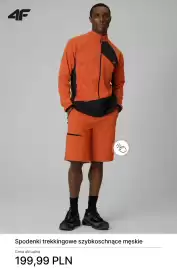 4F gazetka tydzień 16 Strona 13