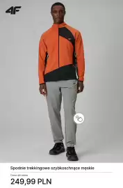 4F gazetka tydzień 16 Strona 7