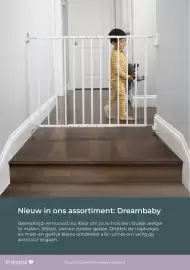 Prenatal folder week 17 Pagina 36