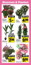 Vomar Voordeelmarkt folder week 17 Pagina 29