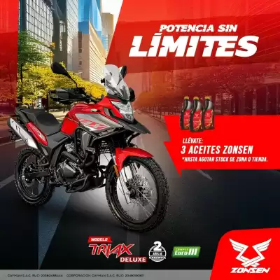 Zongshen (válido hasta 30-04)