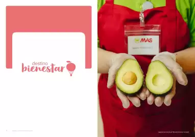 Folleto Supermercados MAS Página 41