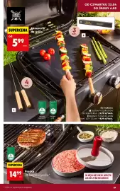 Biedronka gazetka tydzień 17 Strona 19