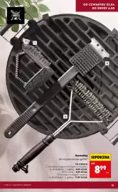 Biedronka gazetka tydzień 17 Strona 21