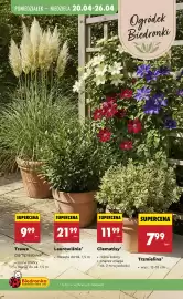 Biedronka gazetka tydzień 17 Strona 29