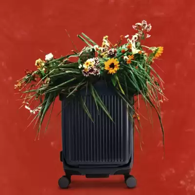 Le Postiche (válido até 30-04)