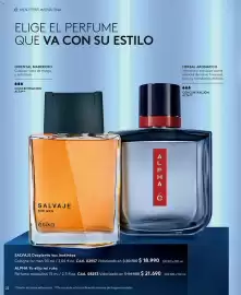 Catálogo Ésika Página 22