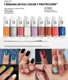 Catálogo Cyzone Página 62