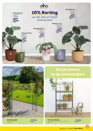 Supra Bazar folder Pagina 13