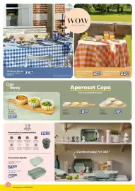 Supra Bazar folder Pagina 4