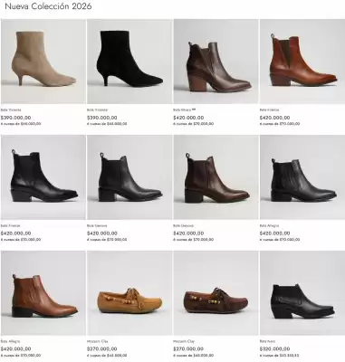 Maggio Rossetto (válido hasta 3-05)