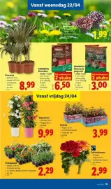 Lidl folder week 17 Pagina 19