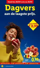 Lidl folder week 17 Pagina 2