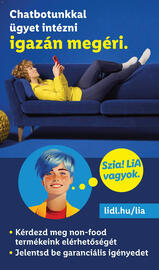 Lidl akciós újság hét 17 Oldal 28