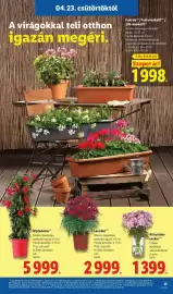 Lidl akciós újság hét 17 Oldal 13