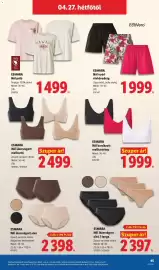 Lidl akciós újság hét 17 Oldal 45