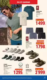 Lidl akciós újság hét 17 Oldal 47