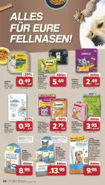 Famila Nord West Prospekt woche 17 Seite 26