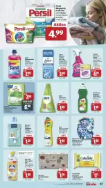 Famila Nord West Prospekt woche 17 Seite 29