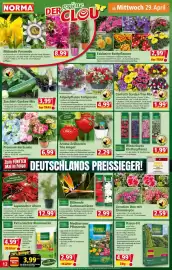 Norma Prospekt woche 18 Seite 12