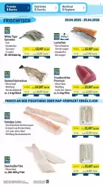 METRO Prospekt woche 17 Seite 6