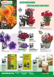 Hagebau Prospekt woche 16 Seite 2